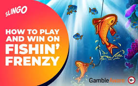 Fishin' Frenzy The Big Catch - An Adventure Awaits Fishin' Frenzy The Big Catch - An Adventure Awaits